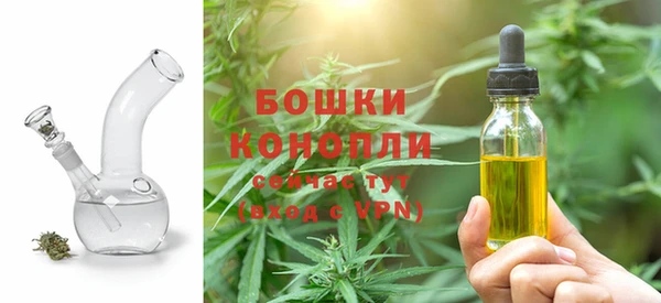 мдпв Лиски