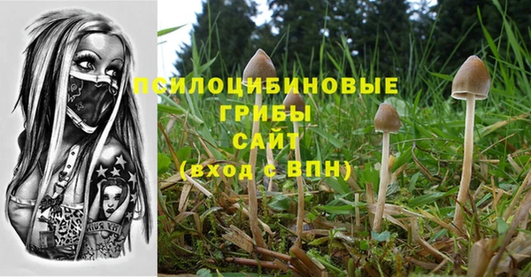 мдпв Лиски