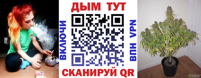 Марихуана THC 21%  Купить где  Долинск 